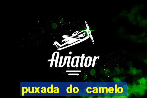 puxada do camelo jogo do bicho